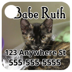 Pet Tag Photo Tile Design