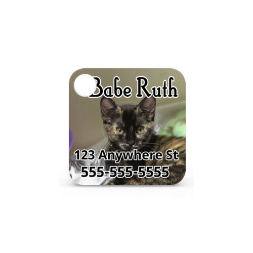 Pet Tag Photo Tile Thumbnail