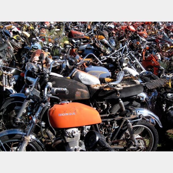 bikeyard bycogdog Thumbnail