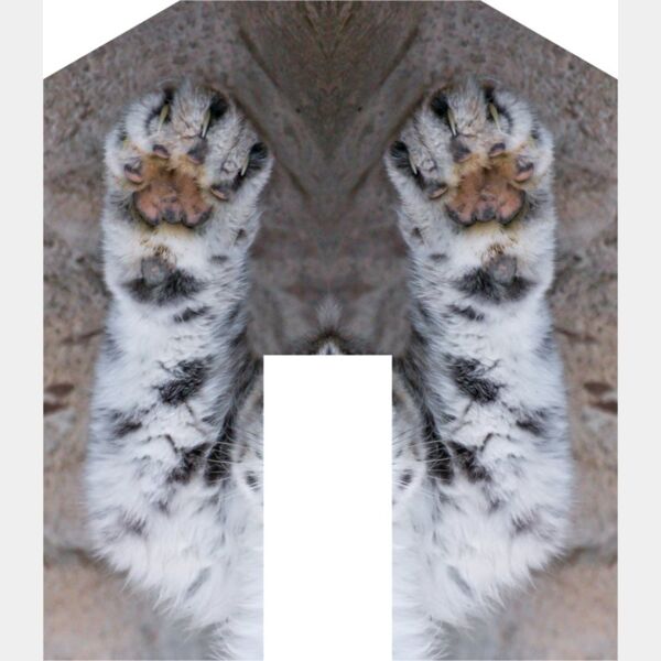 paws snowleopard tambako Thumbnail