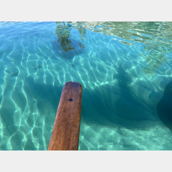 Greenland Paddle and green water Thumbnail
