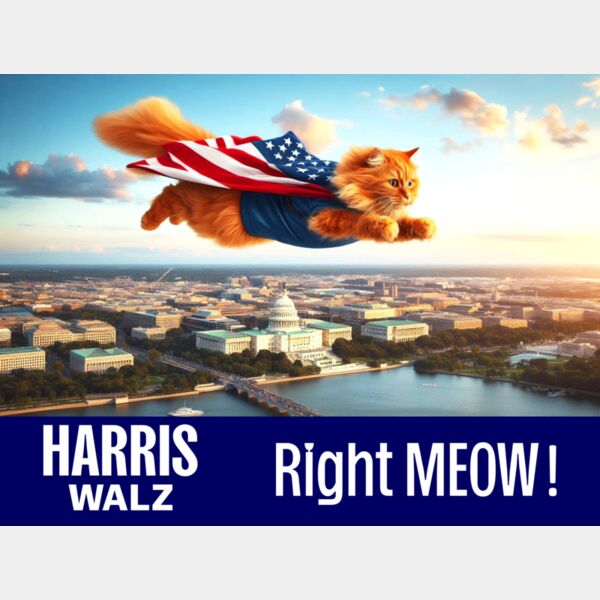flying cat harris walz 2 Thumbnail