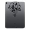 Laser Engraved iPad Air (latest model) Thumbnail